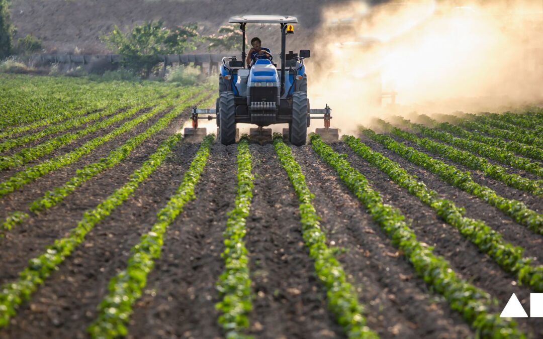 Mejora la vida útil y obtén alimentos frescos libre de químicos tóxicos.  Ad  