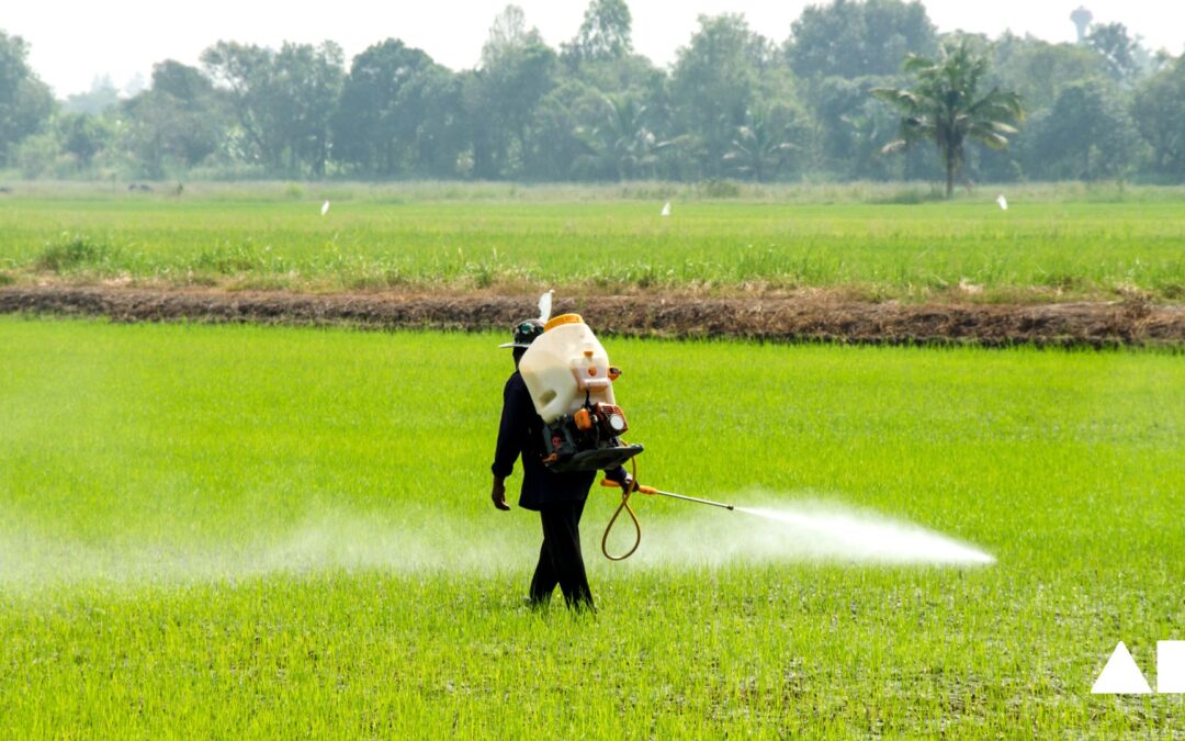 Seguridad alimentaria en la Agroindustria e Industria Hortofrutícola  